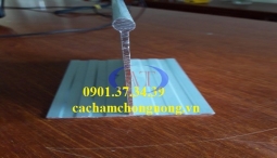 T Treo trần