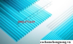 Tấm Lấy Sáng Polycarbonate Rỗng Ruột